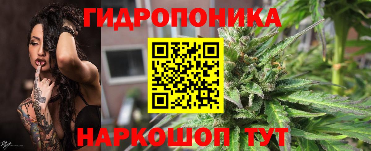 Сорочинск  Конопля THC 21%  Вход с VPN  Канабис VHQ  Бошки марихуана White Widow  Бошки марихуана гибрид 